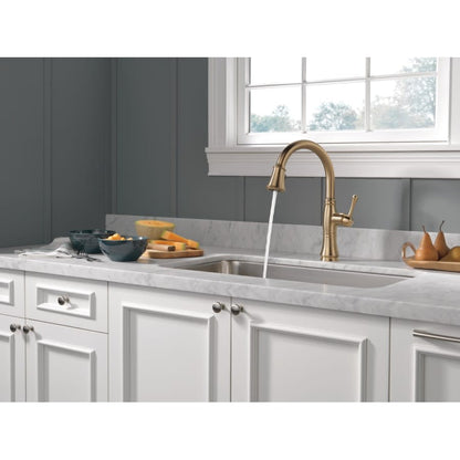 Cassidy Pull-Down Kitchen Faucet with Magnetic Docking Spray Head and ShieldSpray - Includes Lifetime Warranty