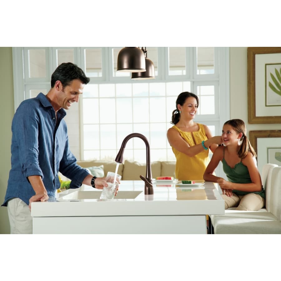 Arbor Single Handle Pulldown Spray Kitchen Faucet with Reflex Technology