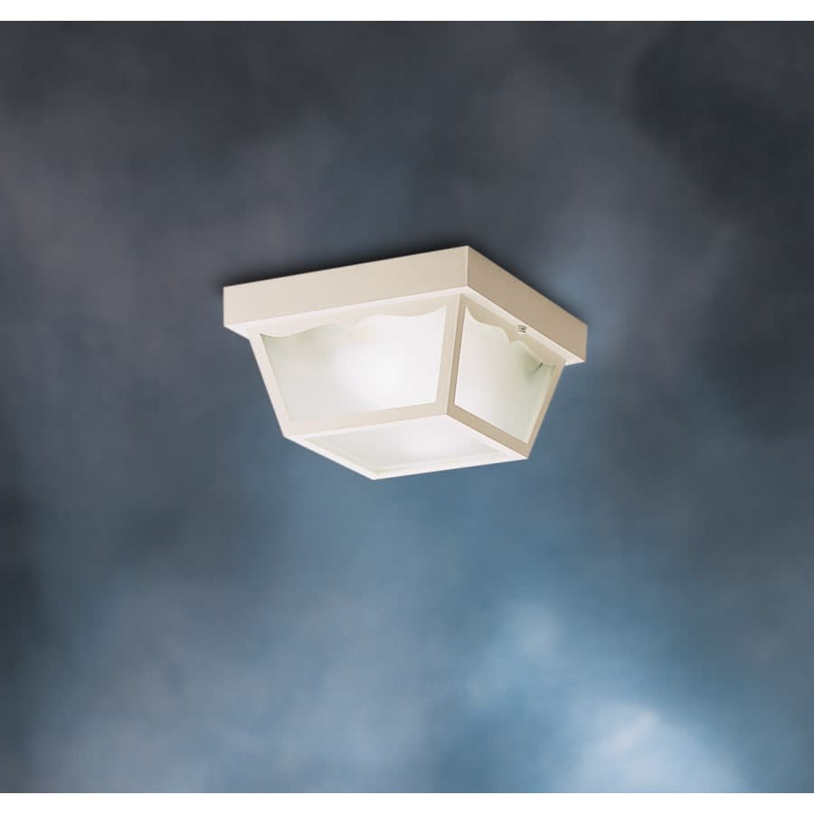 2 Light Outdoor Ceiling Fixture