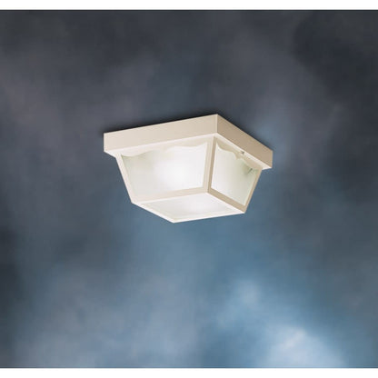 2 Light Outdoor Ceiling Fixture