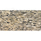 ZAMBIA DECO LEOPARD GL 24X47