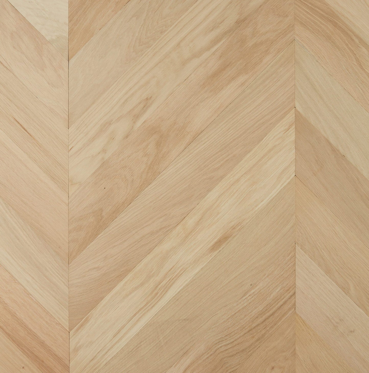 CHEVRON PALERMO