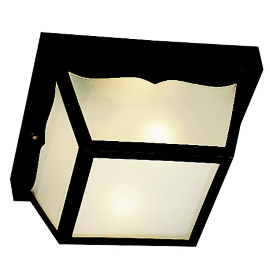 2 Light Outdoor Ceiling Fixture