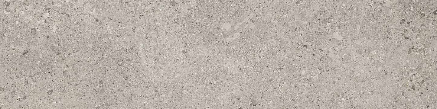 Dignitary Superior Taupe Rectangle 12X24 Polished
