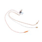 Pilot Assembly, For Use With Models 80, 100 BT Natural Gas