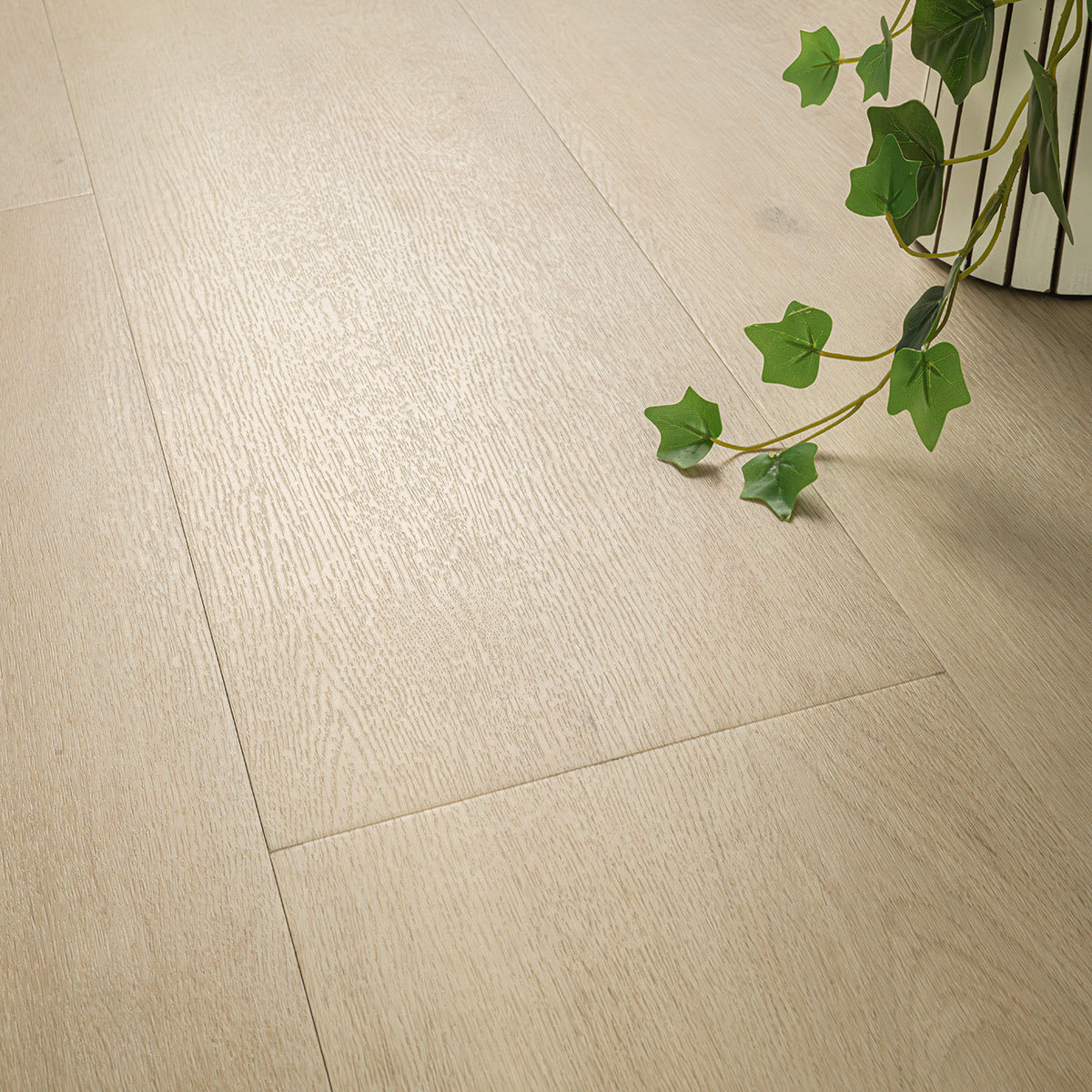 KALLUM BENTON BLONDE 8.98X48.03