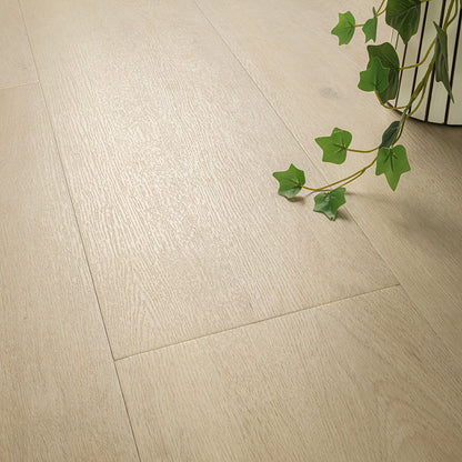 KALLUM BENTON BLONDE 8.98X48.03