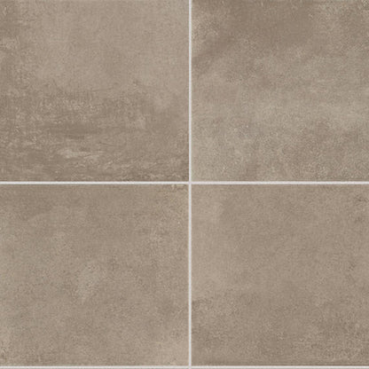 Emergent Pewter Rectangle 24X48 Polished