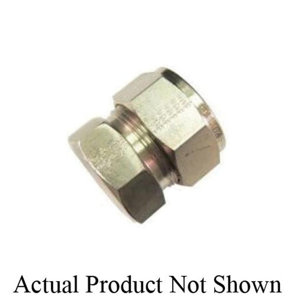 Cap, 3/8 in, Comp, 316/316L Stainless Steel