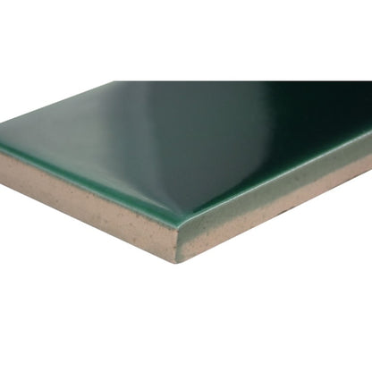 PLURIFY SUB GREEN GL 2X12