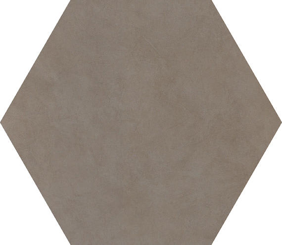 Bee Hive Ashgrey Hexagon 24X20 Matte