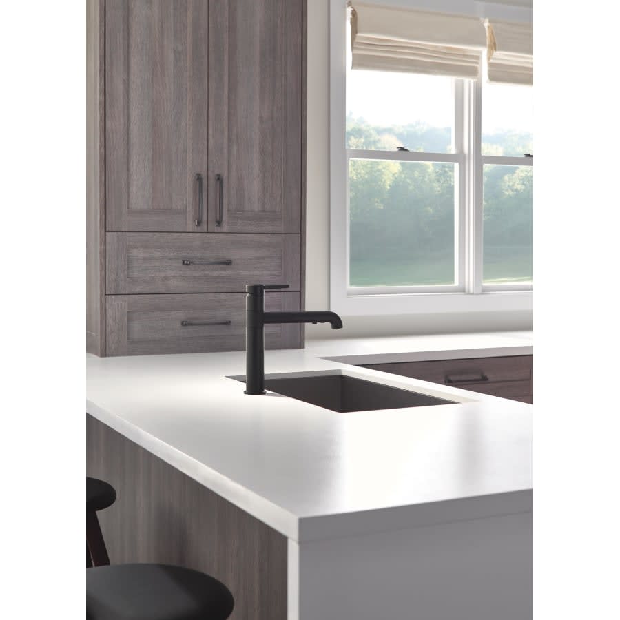 Trinsic Pull-Out Kitchen Faucet - Includes Lifetime Warranty