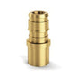 Adapter, 1/2 in, Expansion PEX x Fitting, Brass
