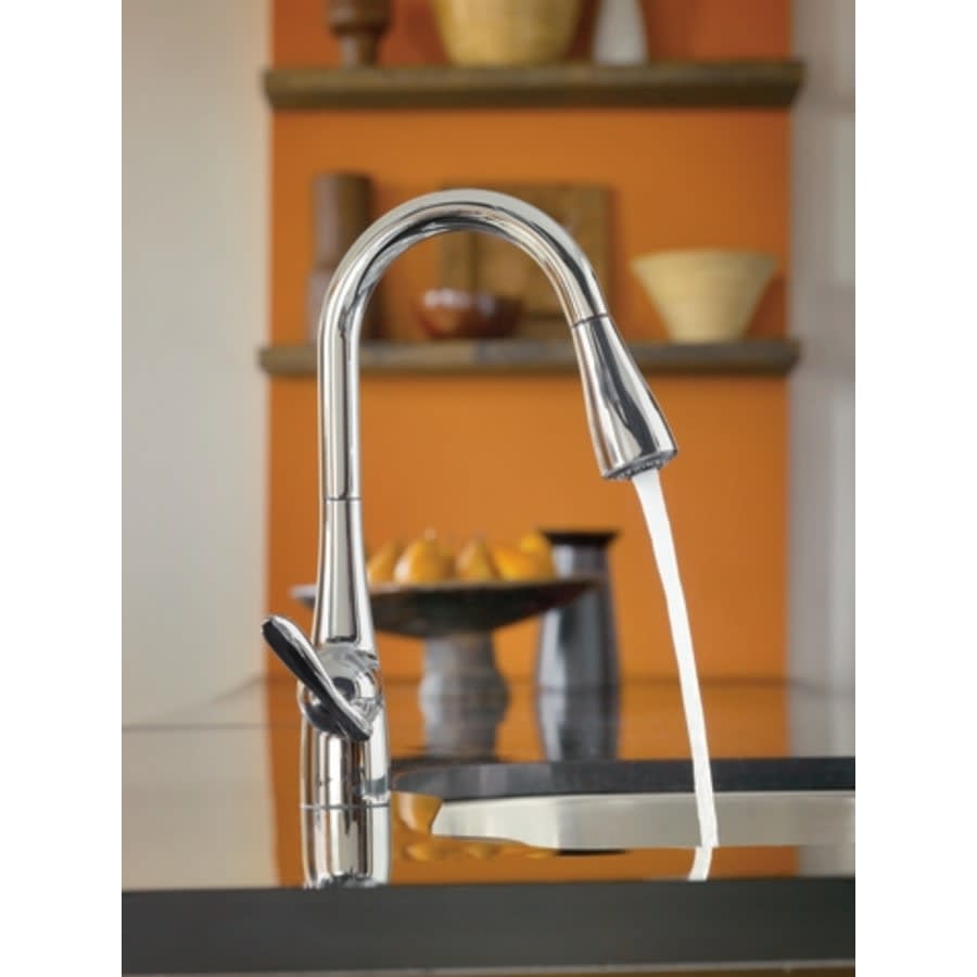 Arbor Single Handle Pulldown Spray Kitchen Faucet with Reflex Technology