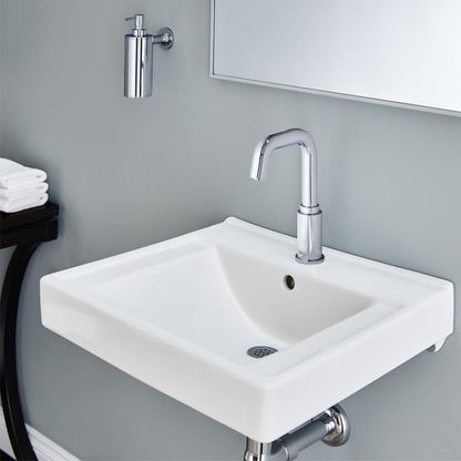 Decorum 20" Wall Mounted Bathroom Sink with EverClean Surface and Rear Overflow