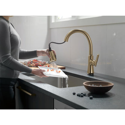 Coranto 1.8 GPM Single Hole Pull Down Kitchen Faucet with On/Off Touch Activation, Magnetic Docking Spray Head and ShieldSpray