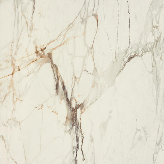 Panoramic Duet Calacatta Topaz Rectangle 12X24 Polished