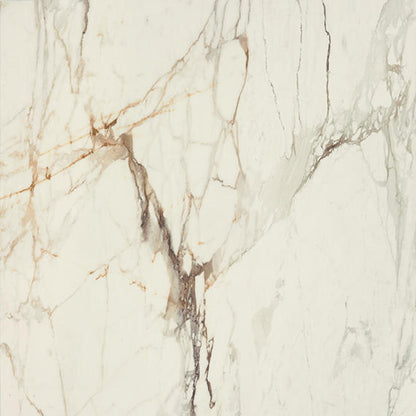 Panoramic Duet Calacatta Topaz Rectangle 12X24 Polished