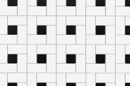 Pinwheel White and Black
