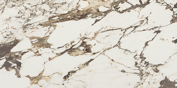 Panoramic Duet Calacatta Aries Square 48X48 Matte