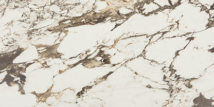 Panoramic Duet Calacatta Aries Square 48X48 Matte