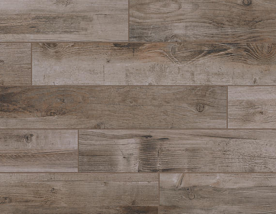 Bryson Valley Petrified Forest Plank 8X48 Matte
