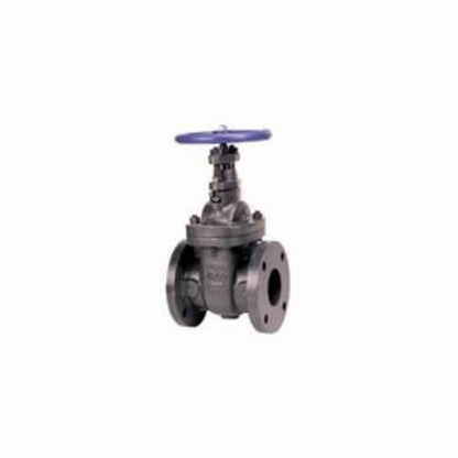619 Non-Rising Stem Gate Valve, 2-1/2 in, Flange, Cast Iron