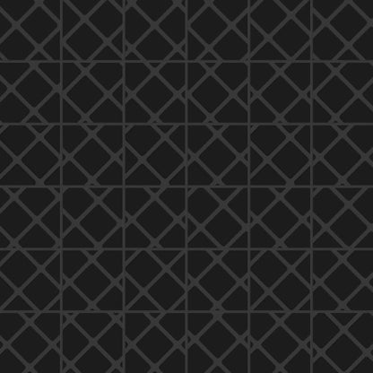 VECTORA BLACK GL MO 2X2/12X12