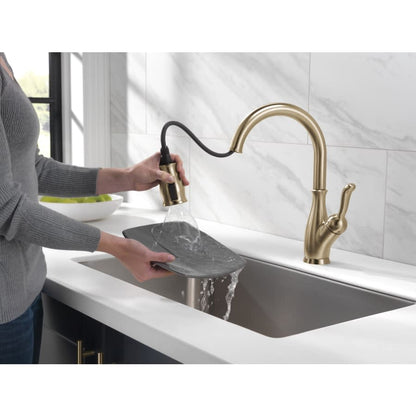 Leland Pull-Down Kitchen Faucet with Magnetic Docking Spray Head and ShieldSpray - Includes Lifetime Warranty