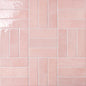 Cloé 2.5X8 Glossy Ceramic Tile in Pink