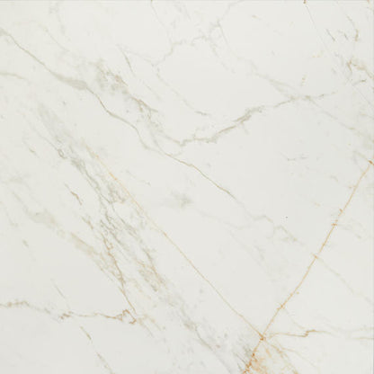 Panoramic Duet Diamond Mine Rectangle 12X24 Matte